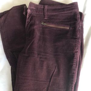 Express Corduroy Jean